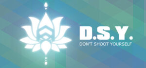 DSY: Don’t Shoot Yourself