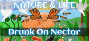 Nature & Life – Drunk On Nectar