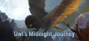 Owl’s Midnight Journey
