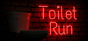 Toilet Run