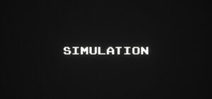 Simulation