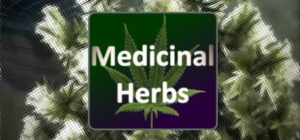 Medicinal Herbs – Cannabis Grow Simulator