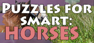 Puzzles for smart: Horses